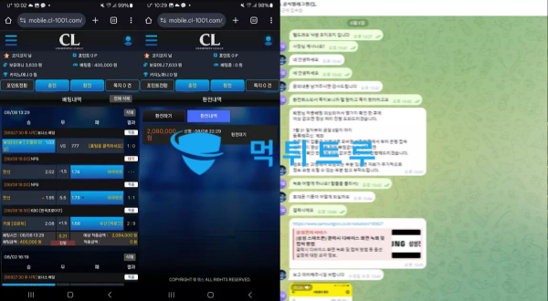챔스먹튀증거