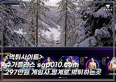 슈가플러스먹튀