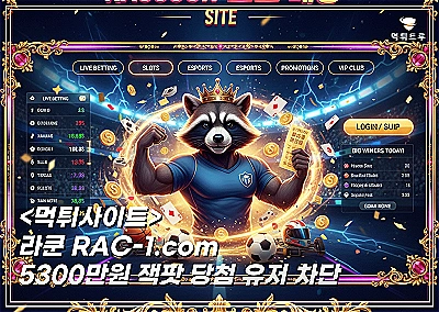 라쿤먹튀