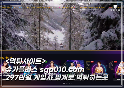 슈가플러스 297만원  게임사 핑계 먹튀