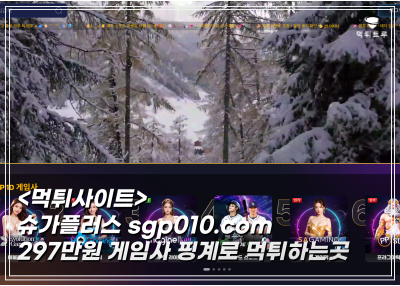 슈가플러스 297만원  게임사 핑계 먹튀