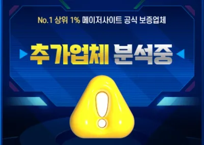 검증업체분석중